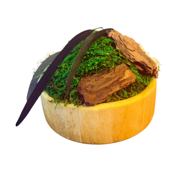 Serene: Preserved Moss Center Piece - wooden bowl - Image 3